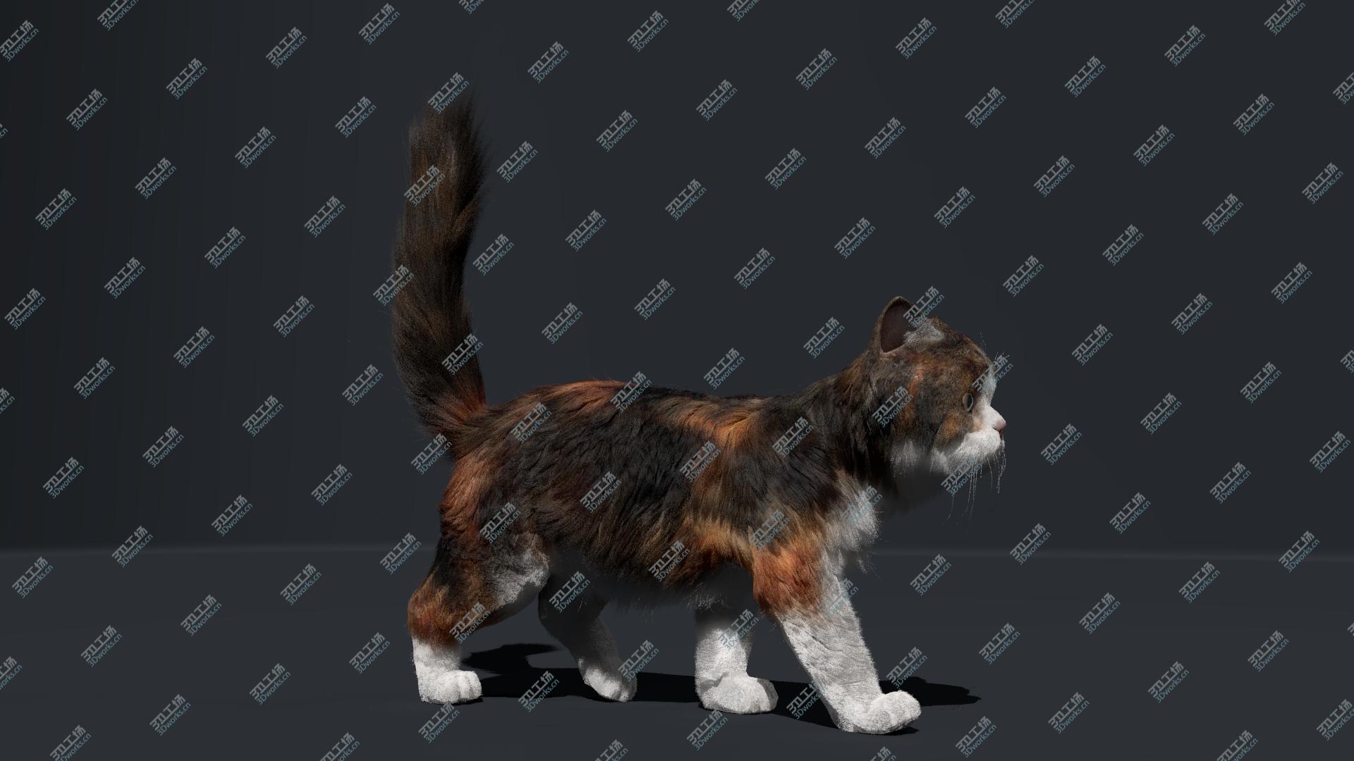 images/goods_img/2021040233/Cat Fur Animated1 3D model/2.jpg